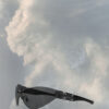 Gafas de sol MM X Gentle Monster MM103 by Maison Margela - Imagen 4